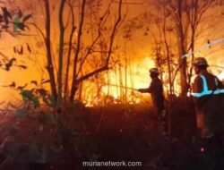BNPB: Lahan Terbakar di Kalteng Capai 380 Hektare pada 2026
