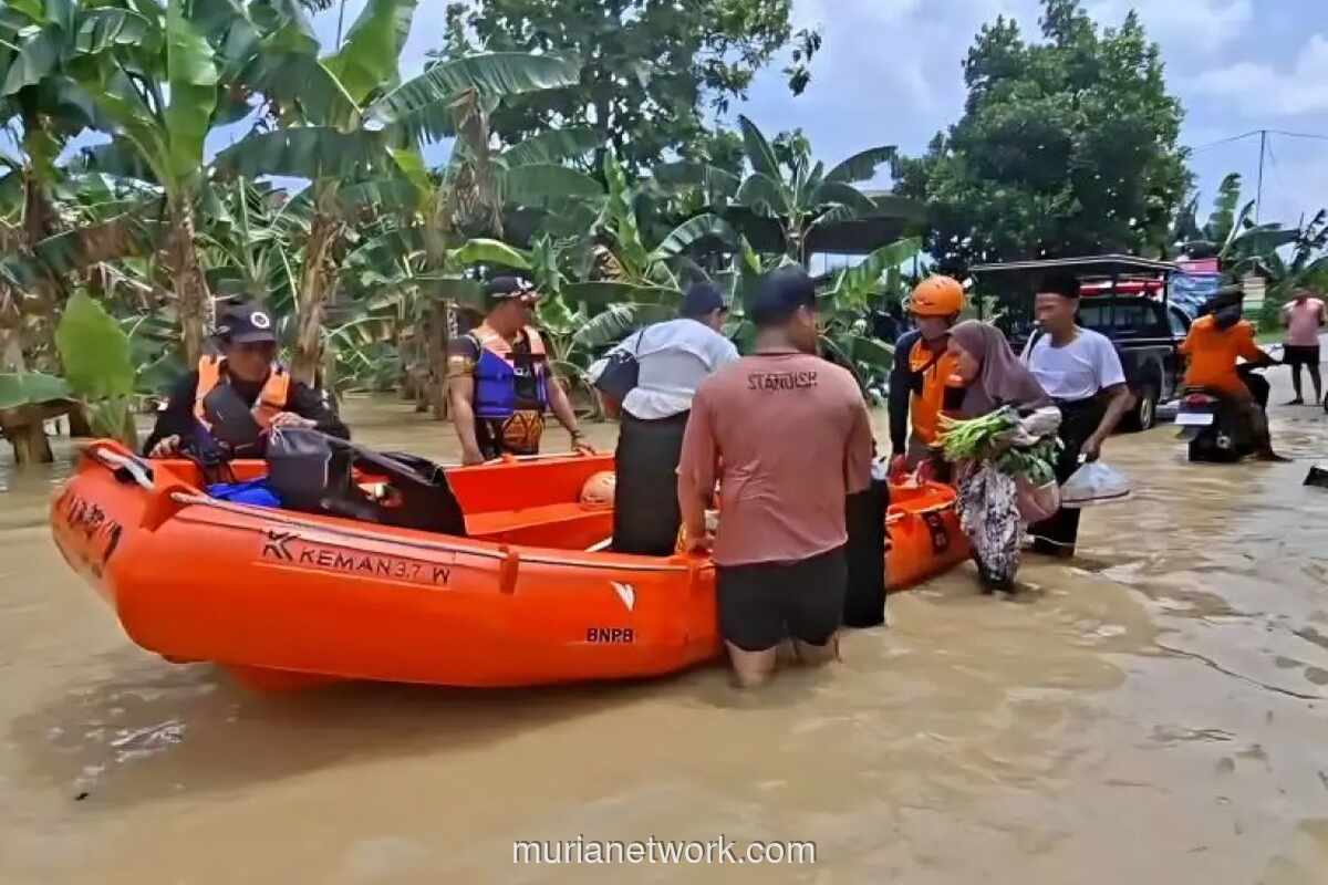 Banjir Demak Rendam 8 Desa, 2.839 Warga Mengungsi Akibat Tanggul Jebol