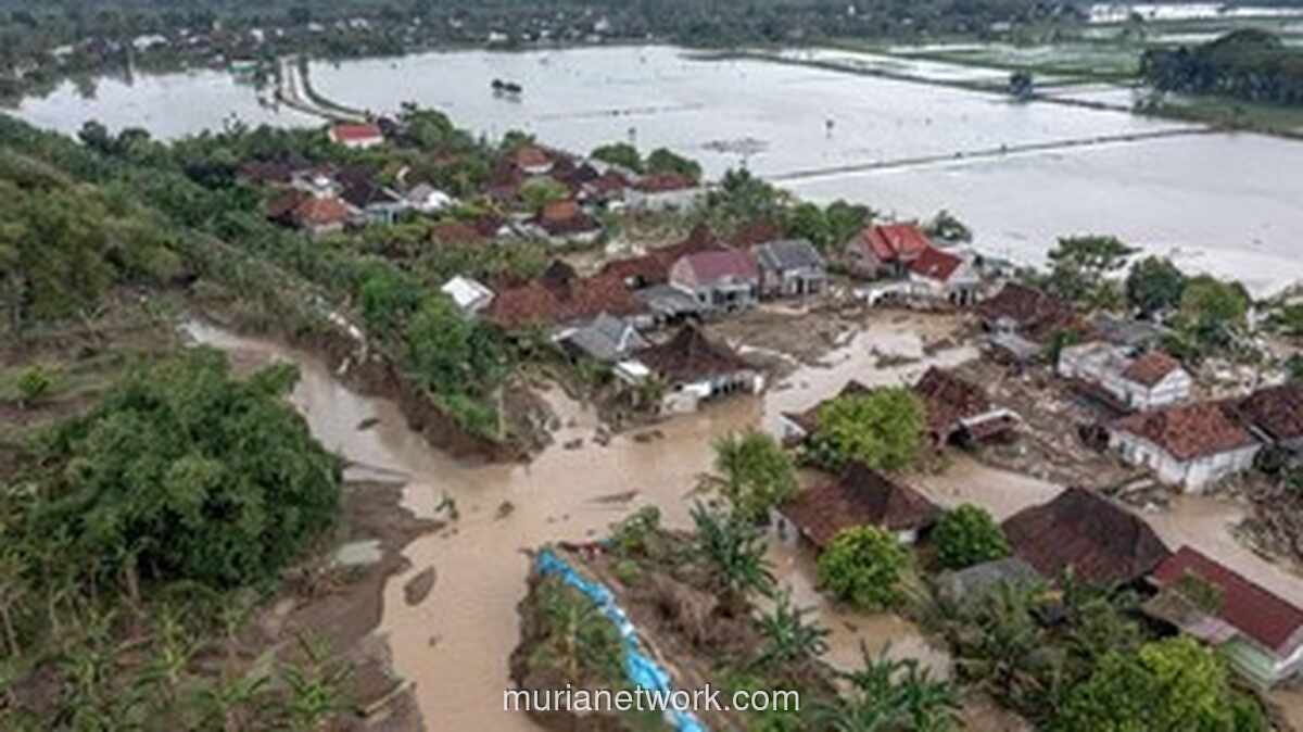 Tanggul Sungai Tuntang Jebol, Anak 8 Tahun Tewas Terseret Banjir di Demak