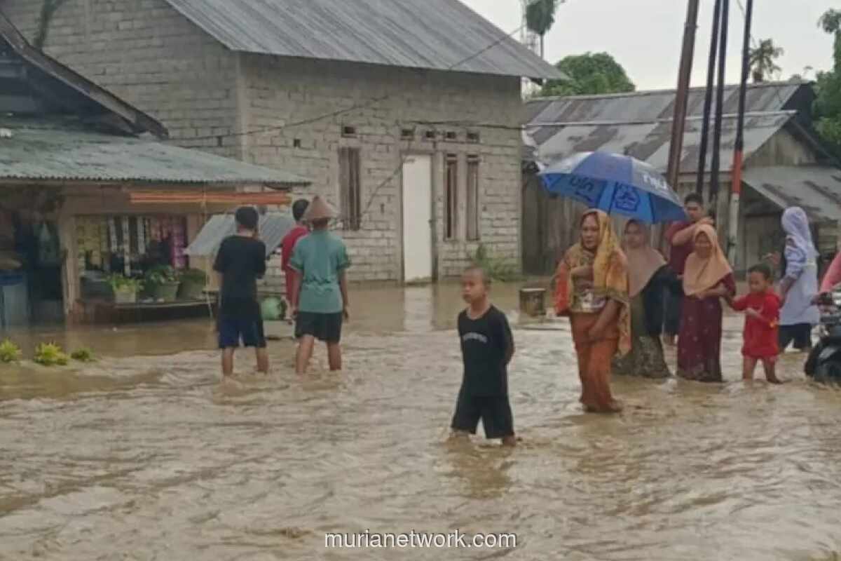 Hujan Deras di Donggala Rendam 552 Rumah, Bupati Perintahkan Normalisasi Sungai