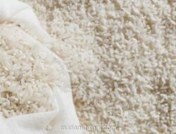 Bulog Salurkan 828.000 Ton Beras Program Sepanjang 2026 untuk Stabilisasi Harga