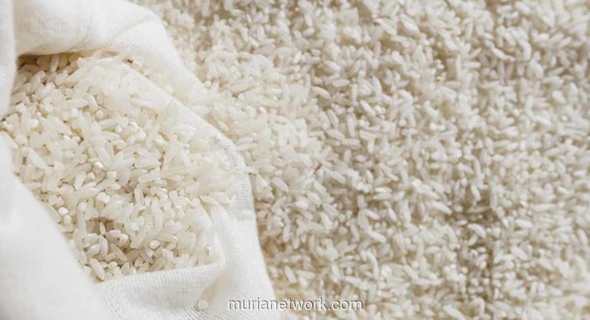 Bulog Salurkan 828.000 Ton Beras Program Sepanjang 2026 untuk Stabilisasi Harga