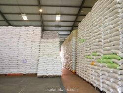 Bulog Sulselbar Siapkan Pembangunan 11 Gudang Beras untuk Perkuat Ketahanan Pangan