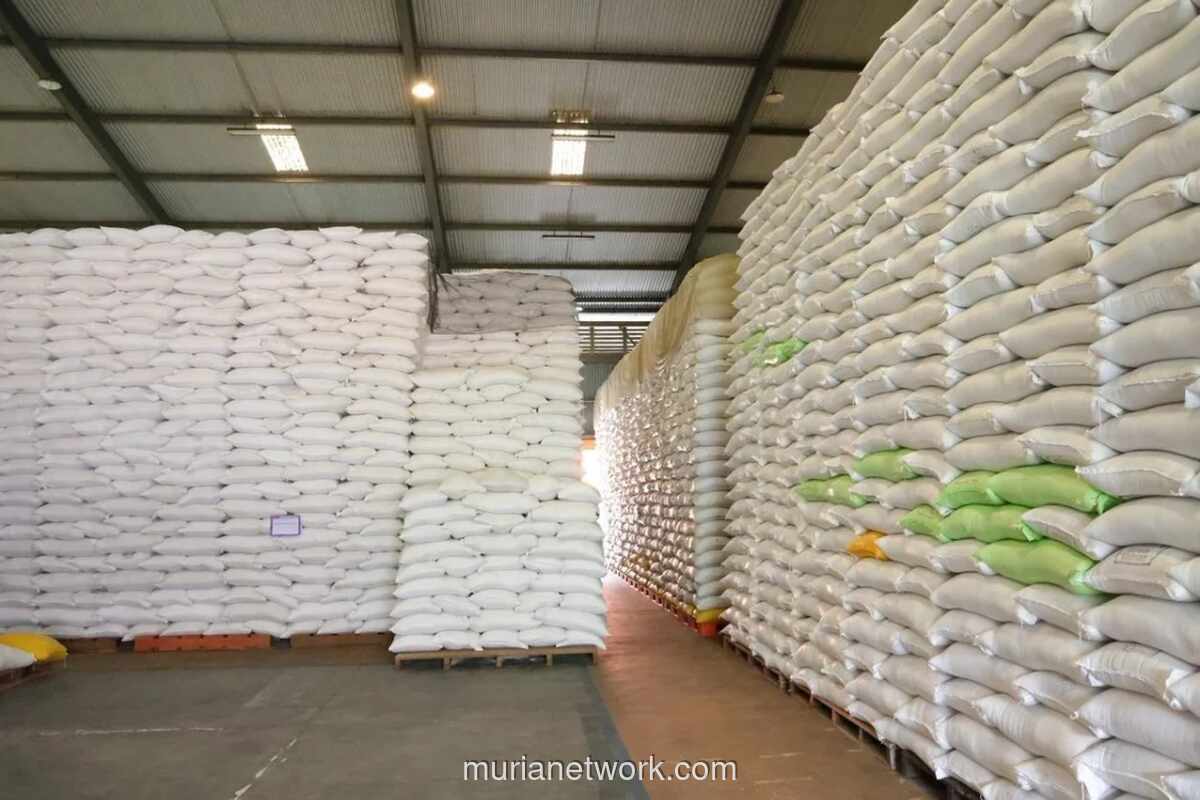 Bulog Sulselbar Siapkan Pembangunan 11 Gudang Beras untuk Perkuat Ketahanan Pangan