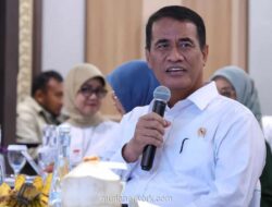 Stok Beras Pemerintah Capai Rekor Tertinggi 4,72 Juta Ton