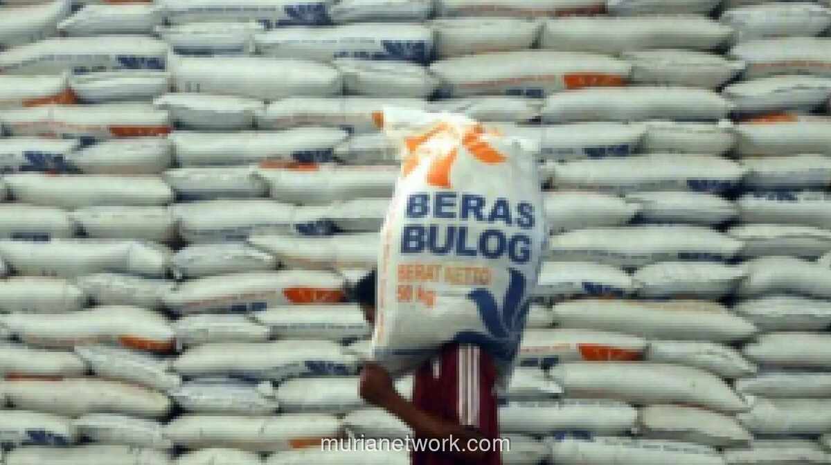 Cadangan Beras Nasional Tembus 5,2 Juta Ton, DPD Apresiasi Kebijakan Pangan Pemerintah