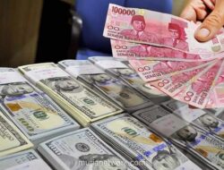 Cadangan Devisa Indonesia Turun ke US$148,2 Miliar Akibat Pembayaran Utang Luar Negeri