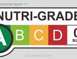 Menkes Budi Gunadi Sadikin Jelaskan Cara Baca Label Nutri-Level untuk Batasi Gula Harian