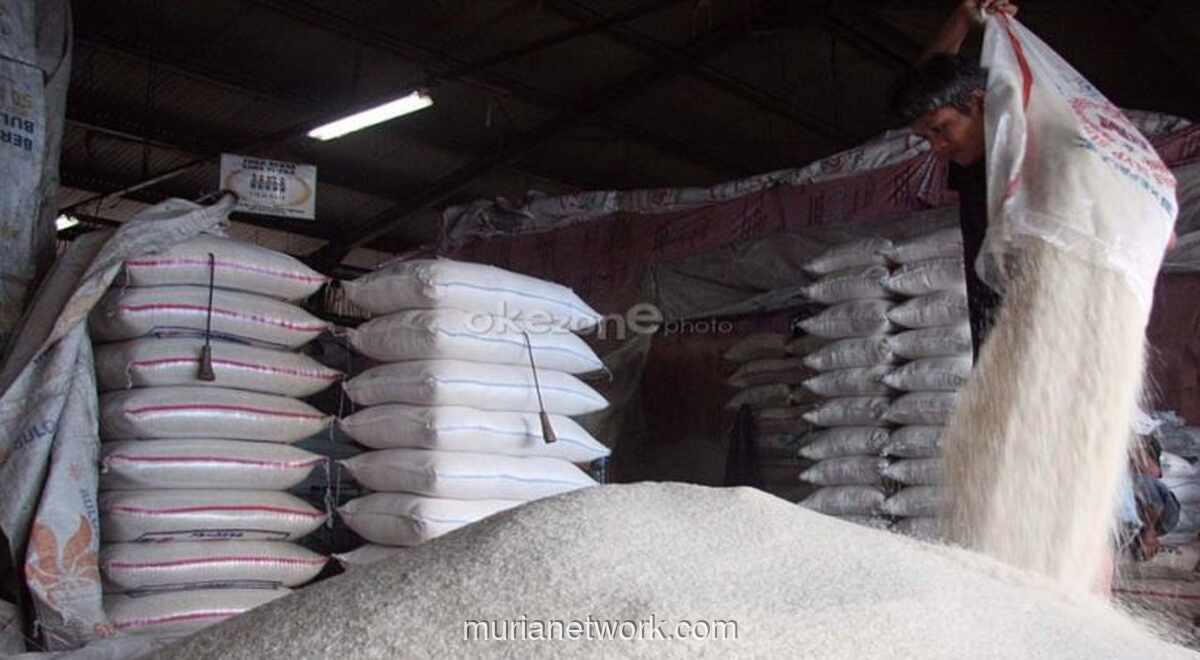 Stok Beras Nasional Tembus 5 Juta Ton, Tertinggi Sepanjang Sejarah