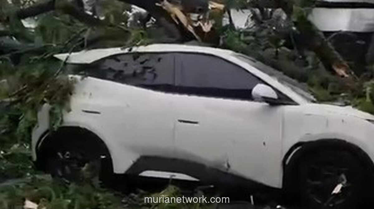 Angin Kencang dan Hujan Deras Rusak Rumah, Kendaraan, dan Sekolah di Bogor