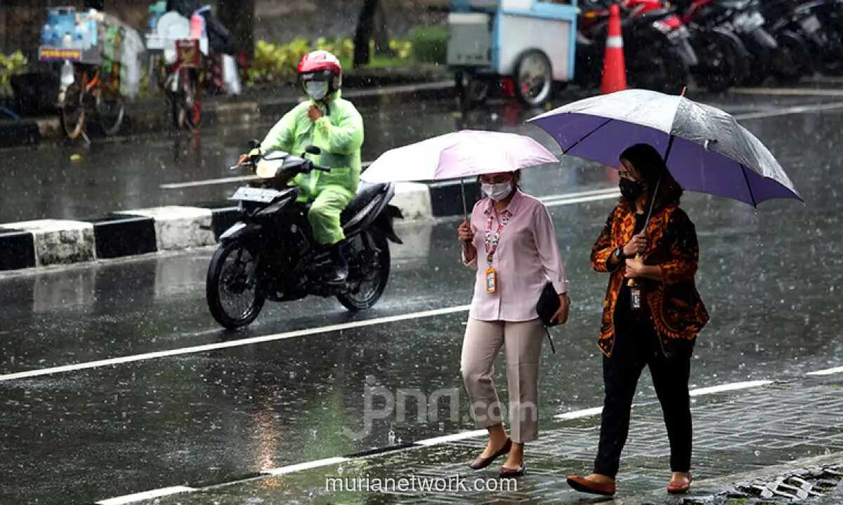 BMKG Prakirakan Hujan Ringan Guyur Ibu Kota Provinsi, Waspadai Potensi Hujan Lebat di Beberapa Wilayah