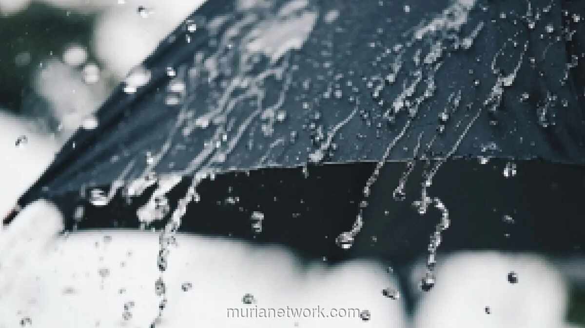 BMKG Ingatkan Waspada Cuaca Ekstrem Pancaroba di Jakarta