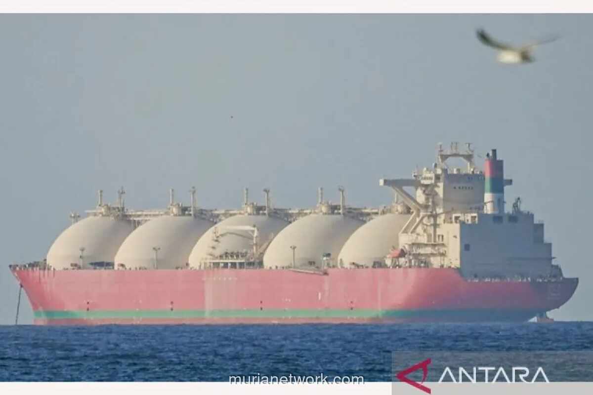 Sekjen D-8: Pakistan, Turki, dan Mesir Jadi Penengah Krusial Antara Iran dan AS