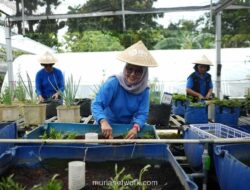 BRI Dorong Pemberdayaan Perempuan Melalui Program Pertanian Perkotaan BRInita