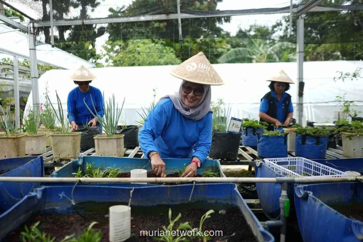 BRI Dorong Pemberdayaan Perempuan Melalui Program Pertanian Perkotaan BRInita