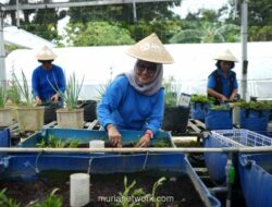 BRI Luncurkan Program BRInita, Dorong Perempuan Perkotaan Kembangkan Urban Farming untuk Ketahanan Pangan