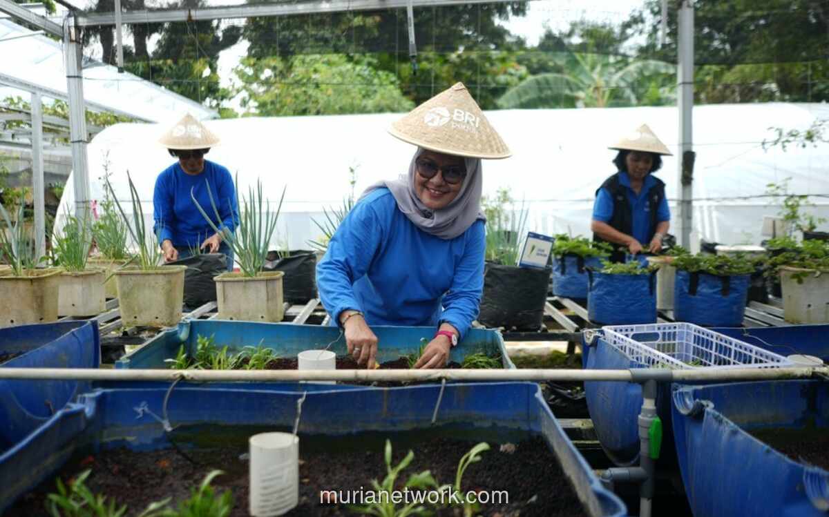 BRI Luncurkan Program BRInita, Dorong Perempuan Perkotaan Kembangkan Urban Farming untuk Ketahanan Pangan