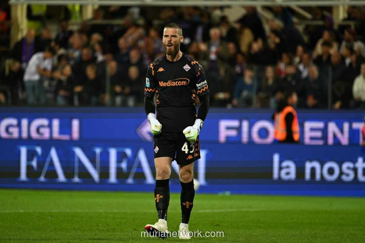 Newcastle United Incar David De Gea untuk Perkuat Gawang