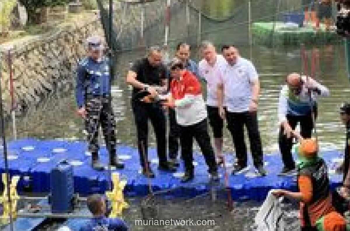 Operasi Besar-besaran DKI Tangkap Lebih dari 1 Ton Ikan Sapu-Sapu