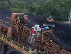 MCOL Dirikan Anak Usaha Rp18,75 Miliar untuk Garap Bisnis Data dan TI