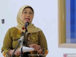 Pemprov DKI Targetkan Tambah Jumlah RPTRA untuk Perluas Ruang Ramah Keluarga