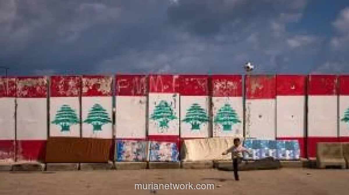 Sistem Kesehatan Lebanon Selatan Kolaps di Tengah Serangan Israel