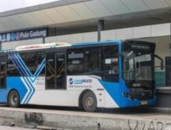 Ketua Komisi B DPRD DKI Usul Tarif TransJakarta Naik Jadi Rp5.000