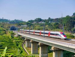 Ekonom Kritik Rencana Pemerintah Tarik PNM dan Whoosh ke Bawah Kemenkeu