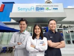 Sinergi Holding Ultra Mikro Dongkrak Kinerja PNM, Aset Tembus Rp57 Triliun