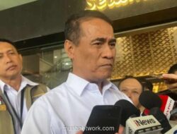 Ekspor Unggas Indonesia Tembus Rp18,2 Miliar di Triwulan I 2026