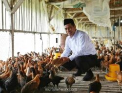 Ekspor Unggas Indonesia Tembus 545 Ton di Awal 2026