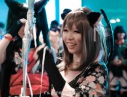 Festival Anime: Bukan Hanya untuk Penggemar Berat, Semua Orang Bisa Menikmati