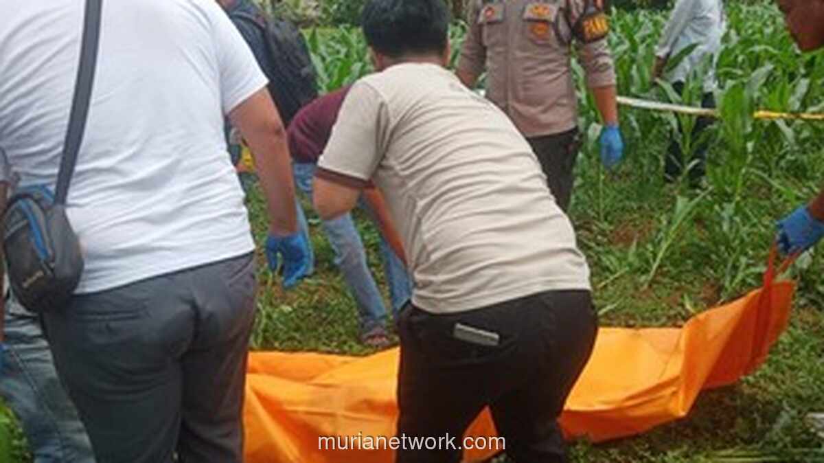 Mayat Pria Tak Dikenal Ditemukan di Kebun Jagung Bogor