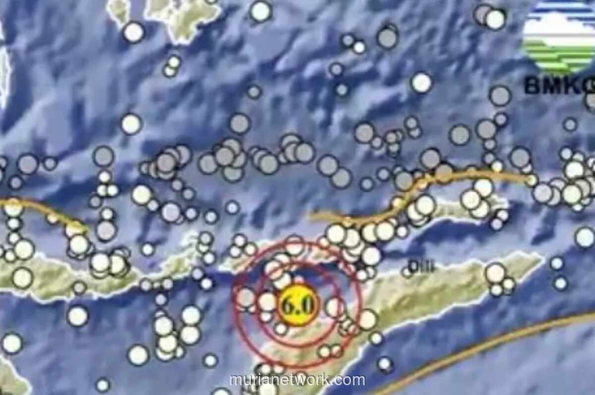 Gempa 6,0 SR Guncang Timor Tengah Utara, BMKG Pastikan Tidak Berpotensi Tsunami