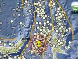 Gempa Magnitudo 4,6 Guncang Barat Laut Ternate, BMKG Imbau Warga Waspada Gempa Susulan