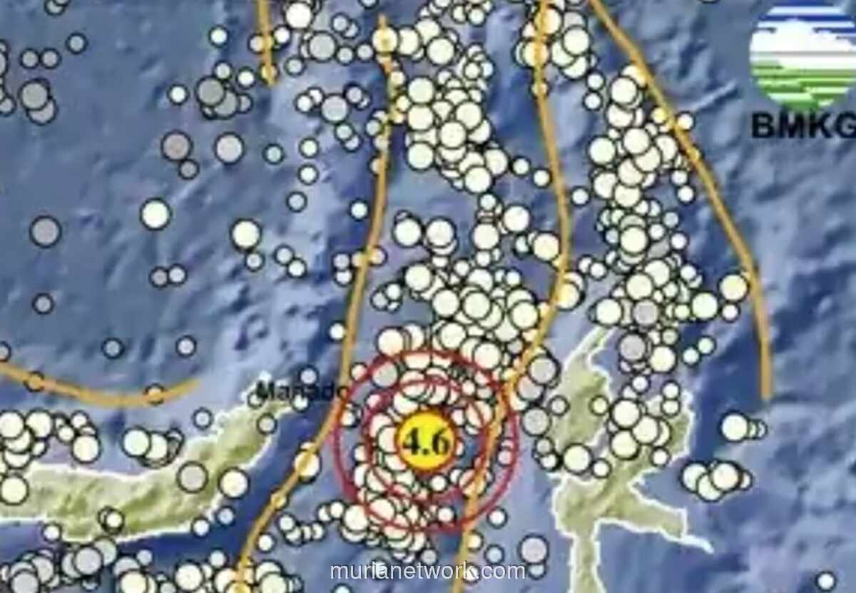 Gempa Magnitudo 4,6 Guncang Barat Laut Ternate, BMKG Imbau Warga Waspada Gempa Susulan
