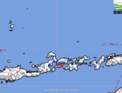 Gempa Magnitudo 3,8 Guncang Larantuka Dini Hari, Tidak Ada Laporan Kerusakan