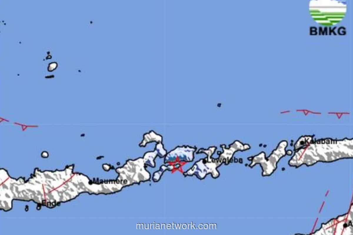 Gempa Magnitudo 3,8 Guncang Larantuka Dini Hari, Tidak Ada Laporan Kerusakan