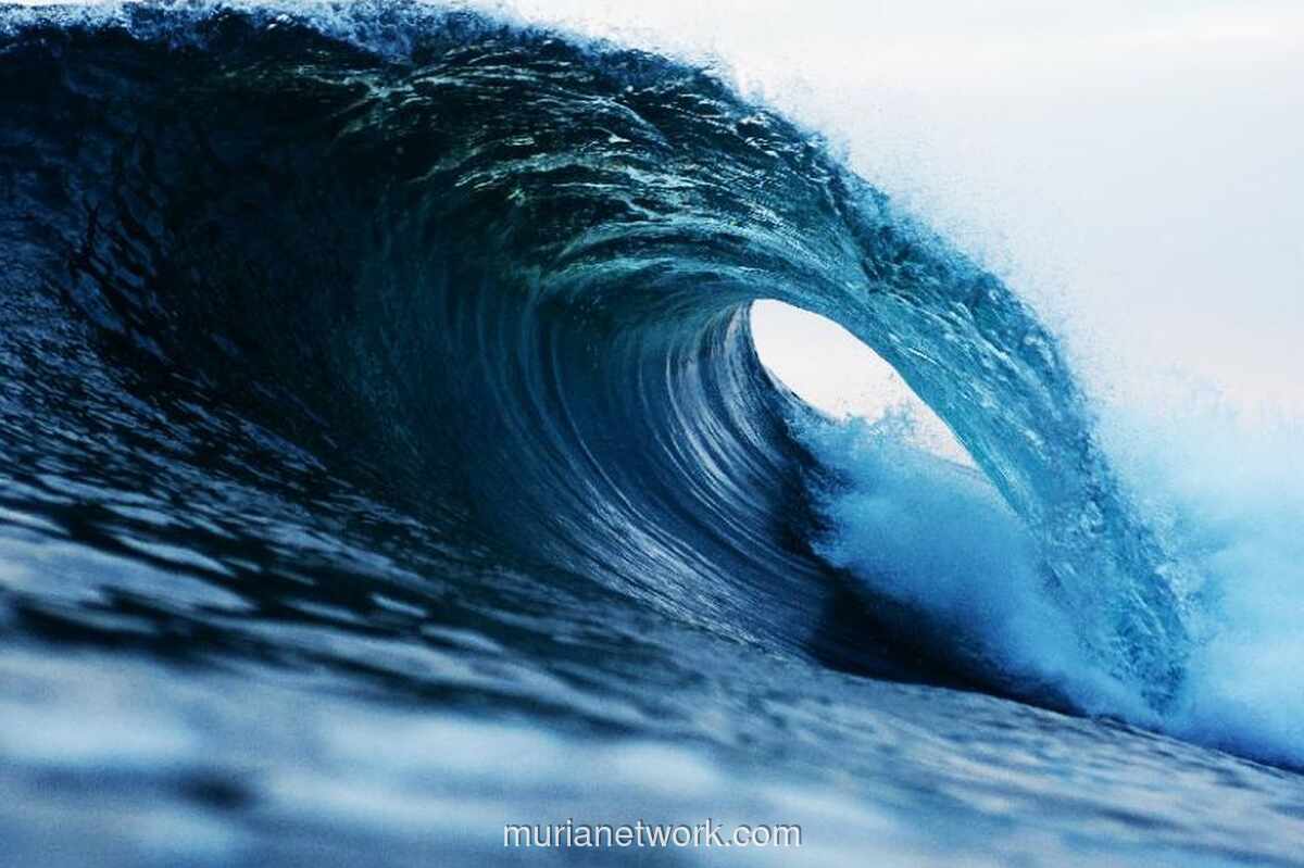 Gempa Magnitudo 6,0 Guncang Timor Tengah Utara, BMKG Pastikan Tak Berpotensi Tsunami