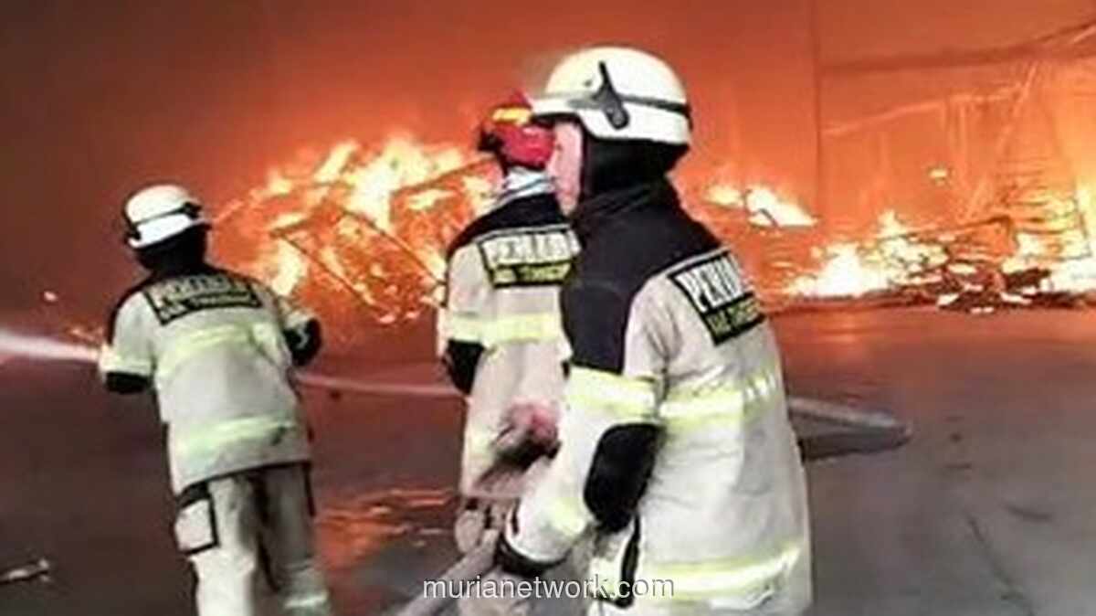 Kebakaran Gudang PT. Lucky di Tangerang Hanguskan Isi Makanan Kucing dan Perabot, Kerugian Capai Rp 10 Miliar