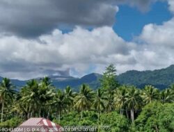 Gunung Dukono Erupsi, Kolom Abu Capai 400 Meter