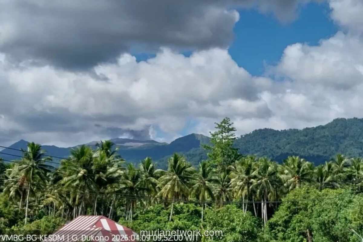 Gunung Dukono Erupsi, Kolom Abu Capai 400 Meter