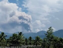 Gunung Dukono Erupsi, Semburkan Abu Setinggi 1.000 Meter