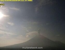 Gunung Semeru Erupsi Empat Kali, Kolom Abu Capai 1,2 Kilometer