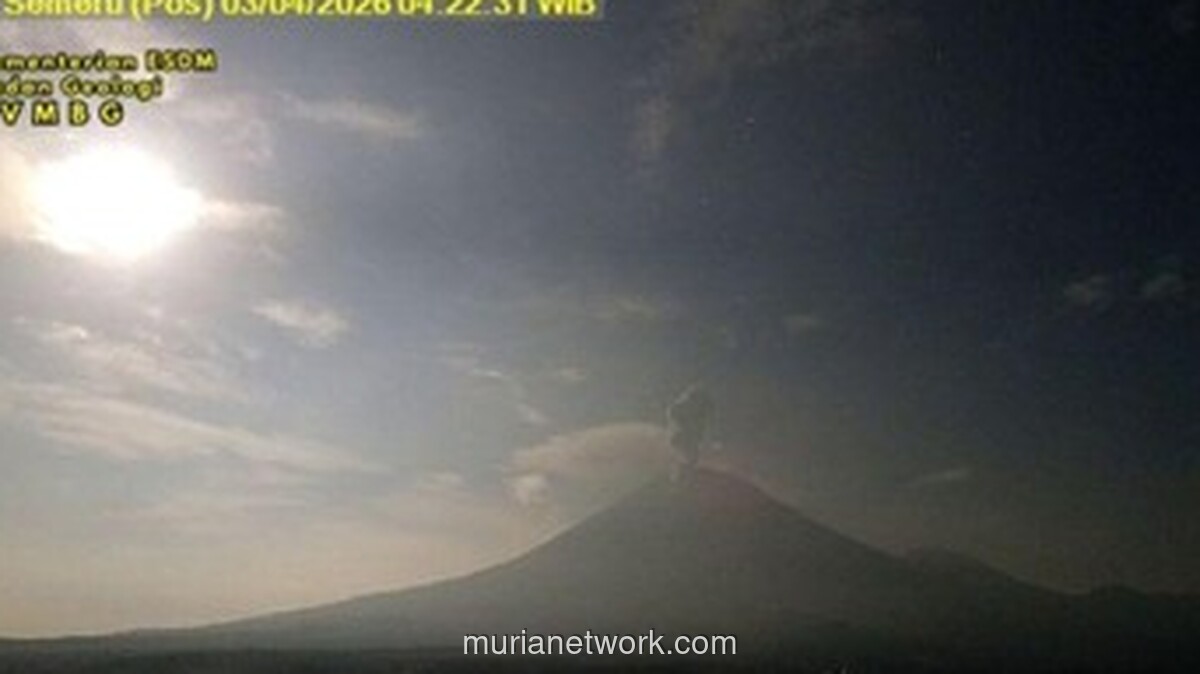 Gunung Semeru Erupsi Empat Kali, Kolom Abu Capai 1,2 Kilometer