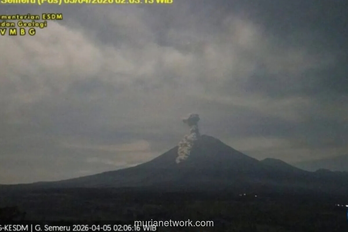 Gunung Semeru Erupsi Pagi Ini, Luncurkan Awan Panas 3,5 Kilometer