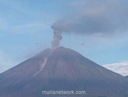 Gunung Semeru Erupsi Tujuh Kali, Kolom Abu Capai 800 Meter