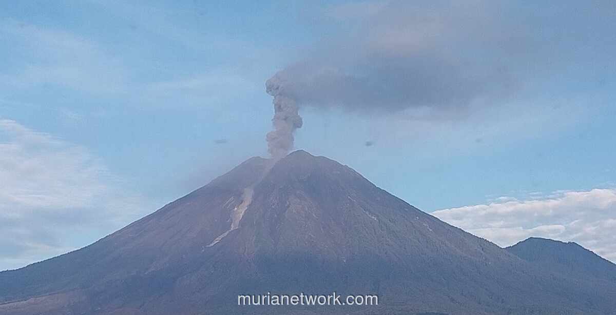 Gunung Semeru Erupsi Tujuh Kali, Kolom Abu Capai 800 Meter