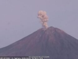 Gunung Semeru Erupsi, Kolom Abu Capai 1.000 Meter