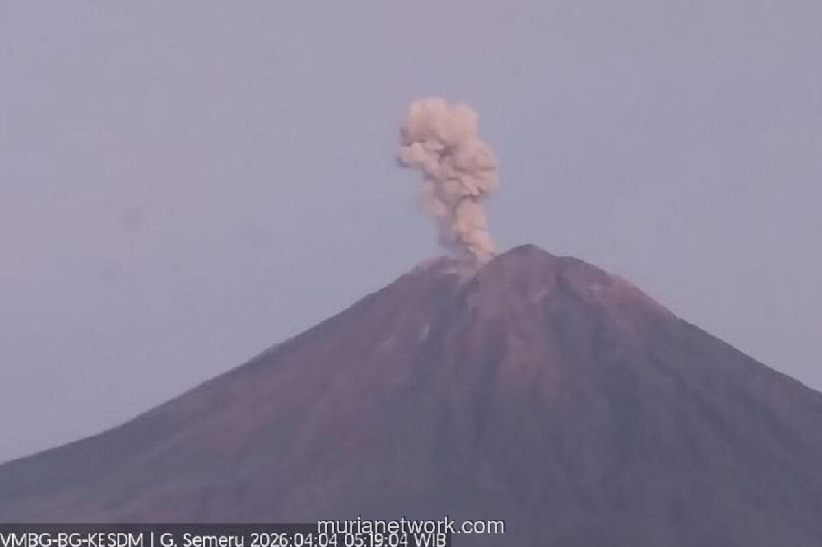 Gunung Semeru Erupsi, Kolom Abu Capai 1.000 Meter